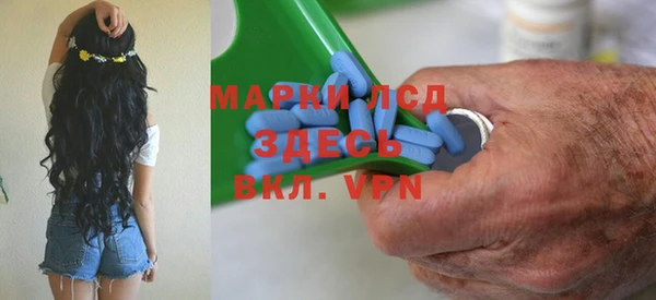 apvp Бородино