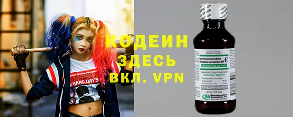 apvp Бородино