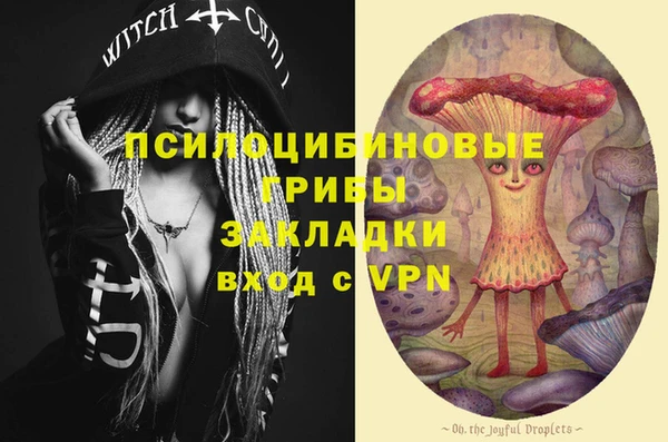 apvp Бородино