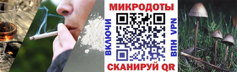 купить наркотики цена  МЕГА рабочий сайт  Псилоцибиновые грибы GOLDEN TEACHER  Кириллов 