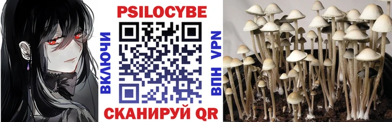 Псилоцибиновые грибы Psilocybine cubensis Кириллов